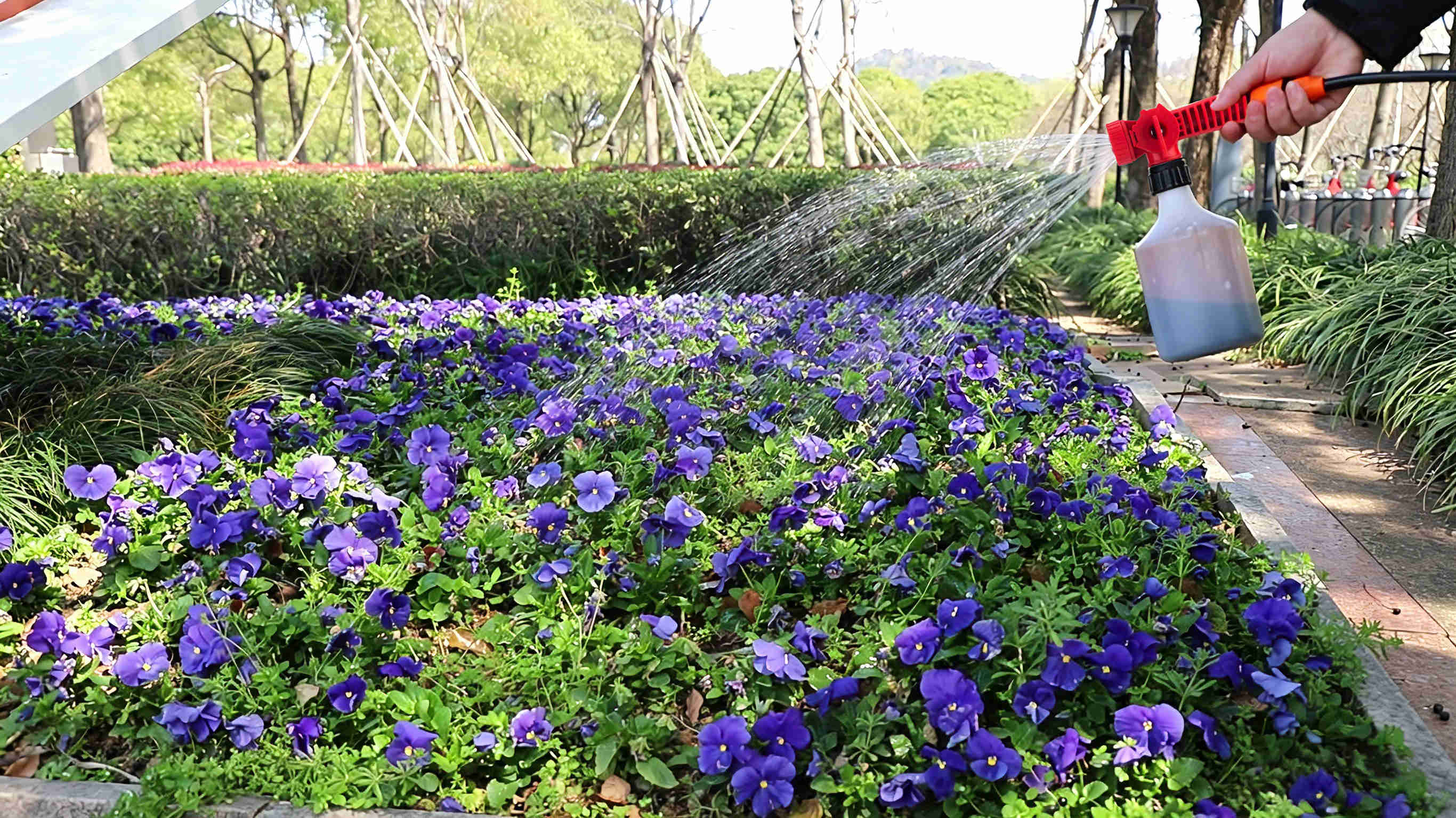 Garden & Plant Maintenance