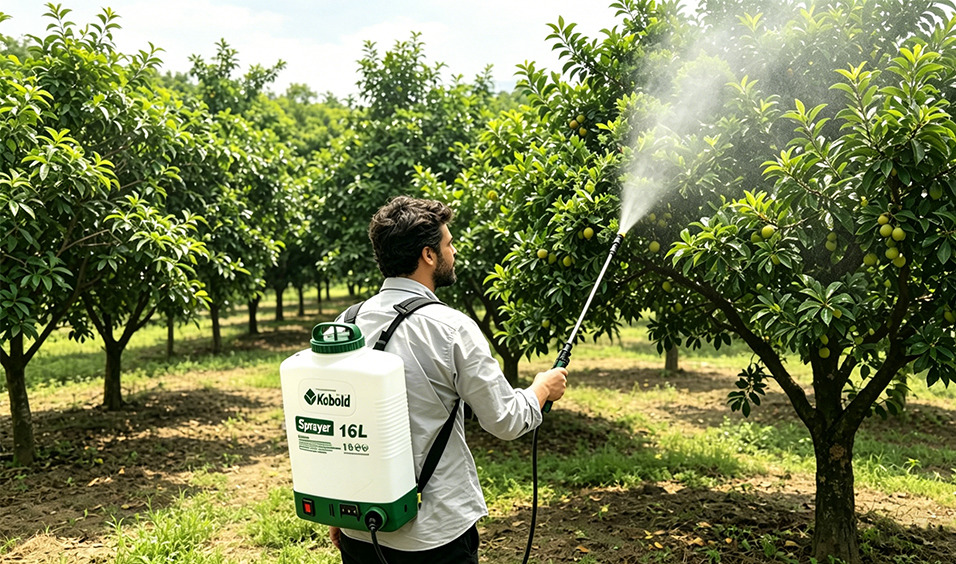 Agriculture & Orchards