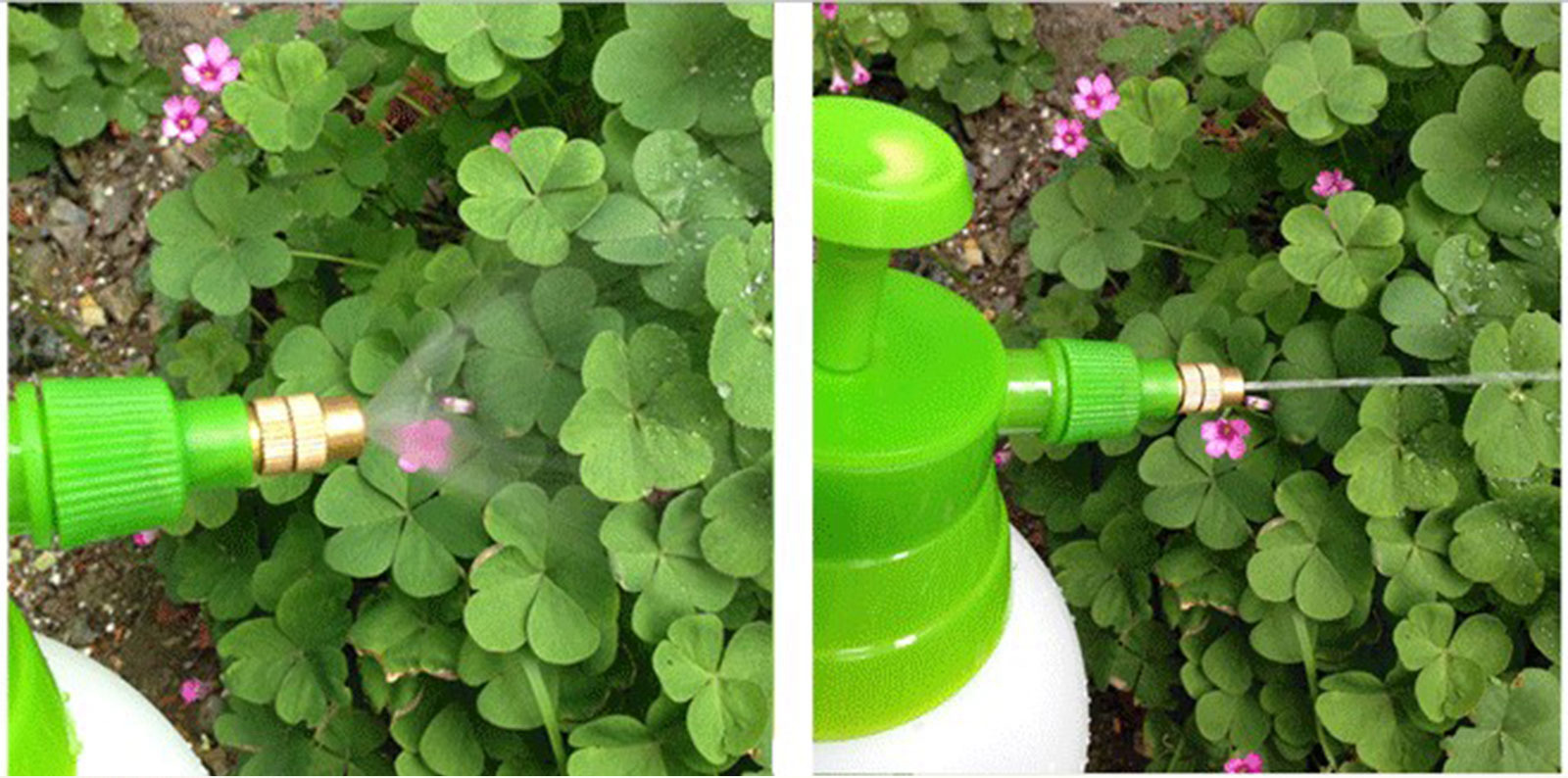 1/2 Gallon Garden Pressure Pump Sprayer With Safety Value & Adjustable Nozzle for Watering Home Cleaning and Car Washing
