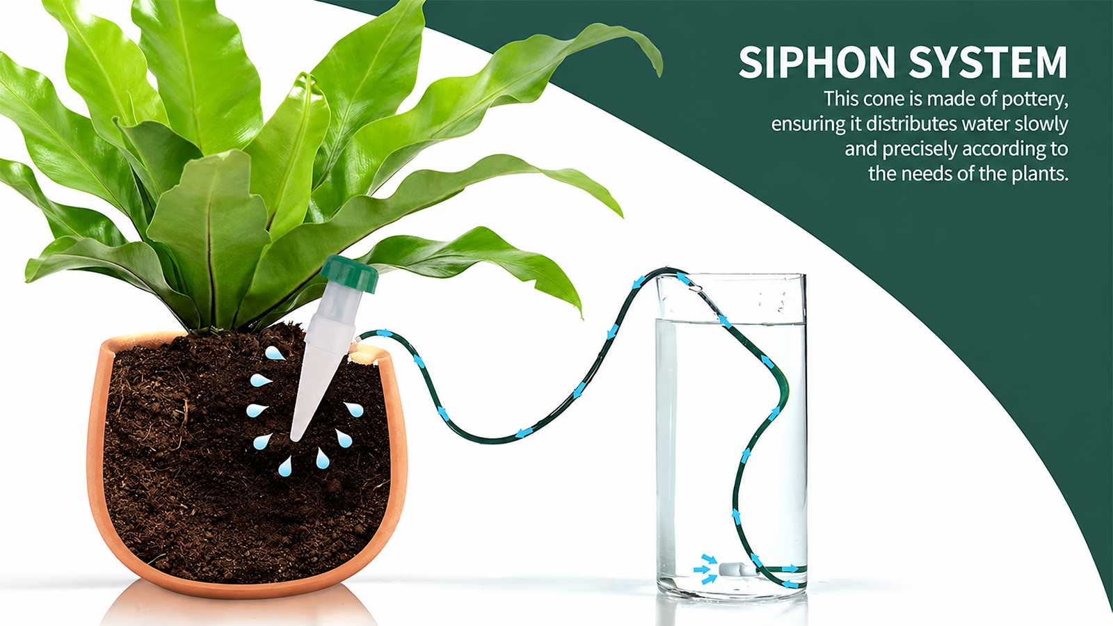 Automatic Plant Waterers Self Watering Spikes For Indoor Outdoor Plants (Large)