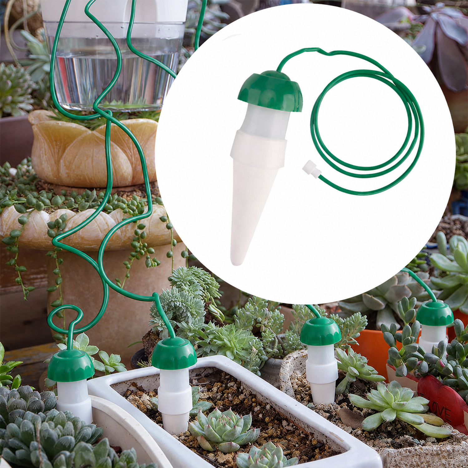 Automatic Plant Waterers Self Watering Spikes For Indoor Outdoor Plants (Large)